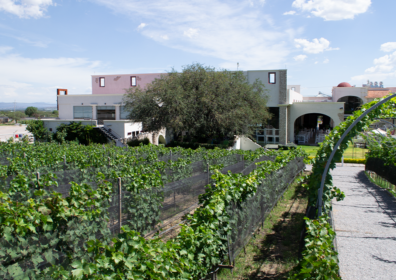 Zona vinícola de Querétaro